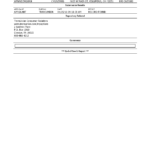 Employment Credit History Report - Page 6